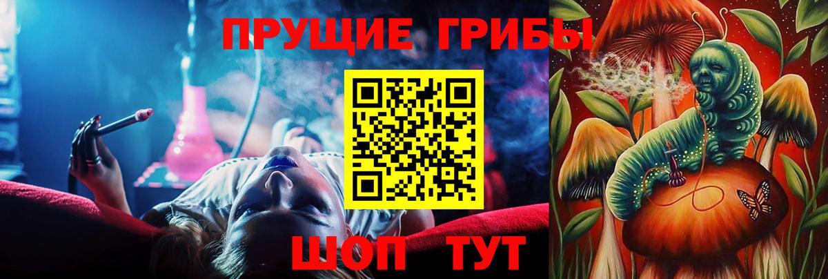 продажа наркотиков  Галлюциногенные грибы GOLDEN TEACHER  Вход с VPN  Россия 